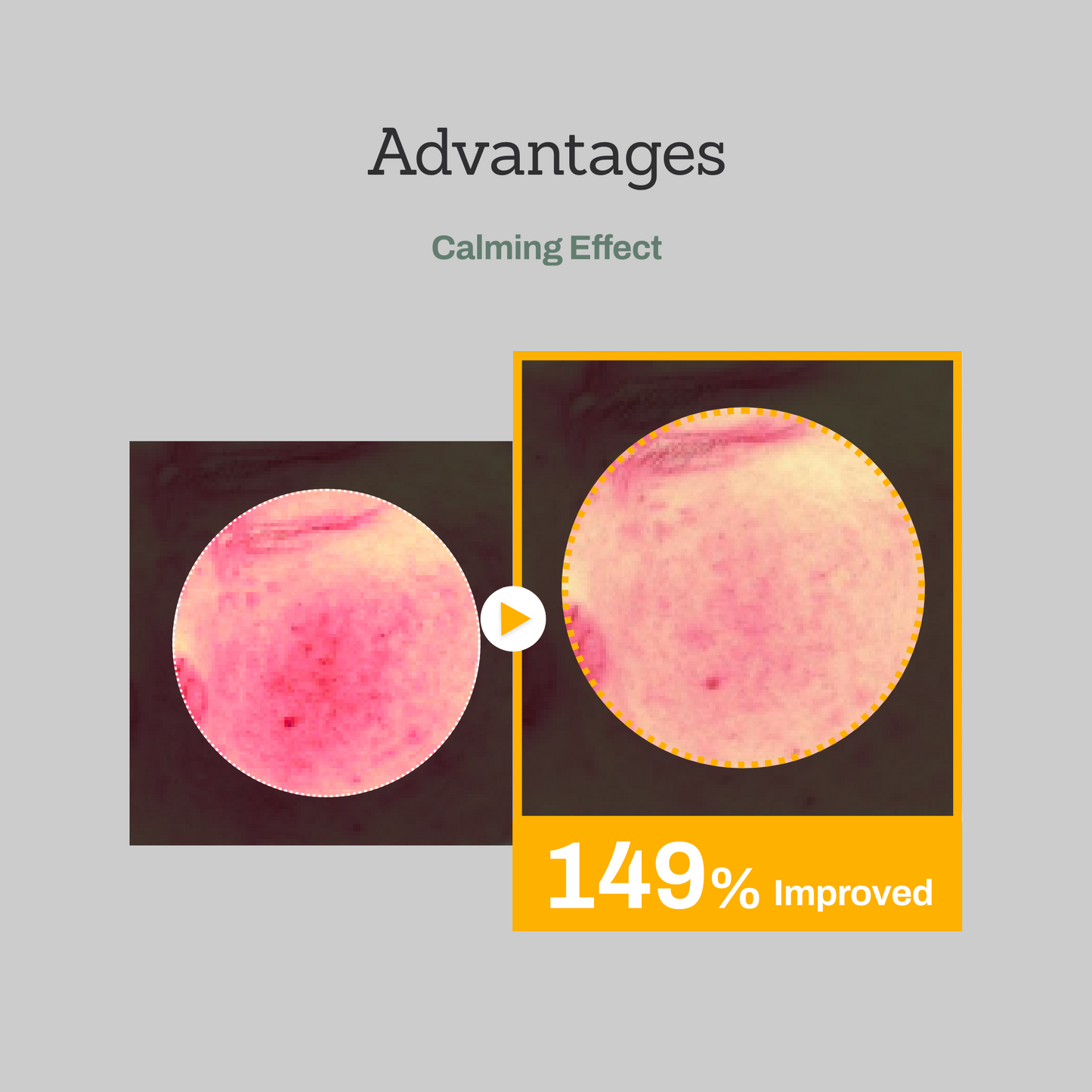 Mugwort Super Calming Toner